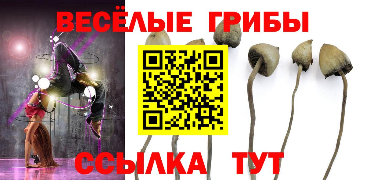 Псилоцибиновые грибы мицелий Корсаков